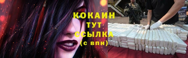 мдпв Володарск