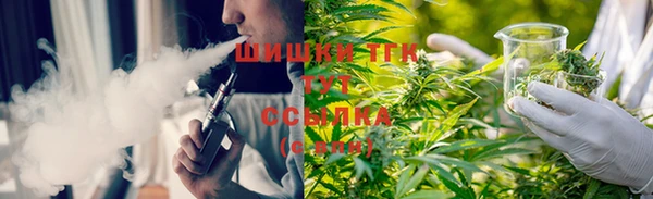 мдпв Володарск