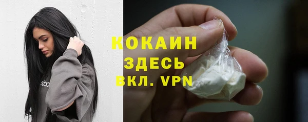 мдпв Володарск