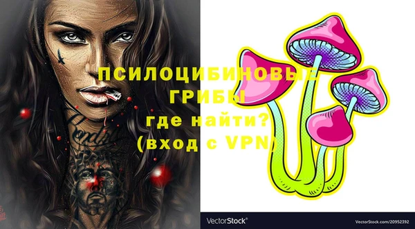 мдпв Володарск